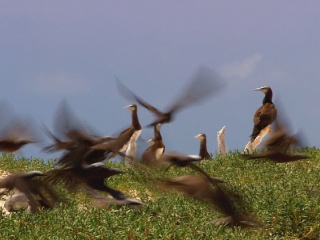 ����� ���������